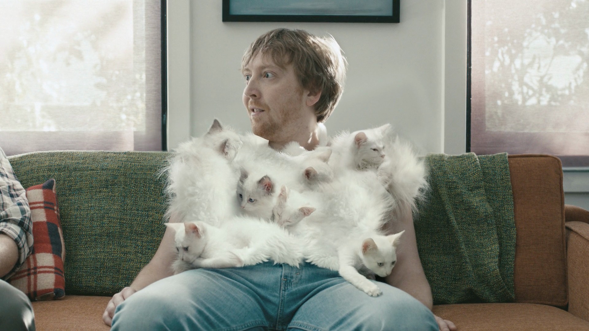 The man on the sofa wears a shirt made of fluffy white kittens