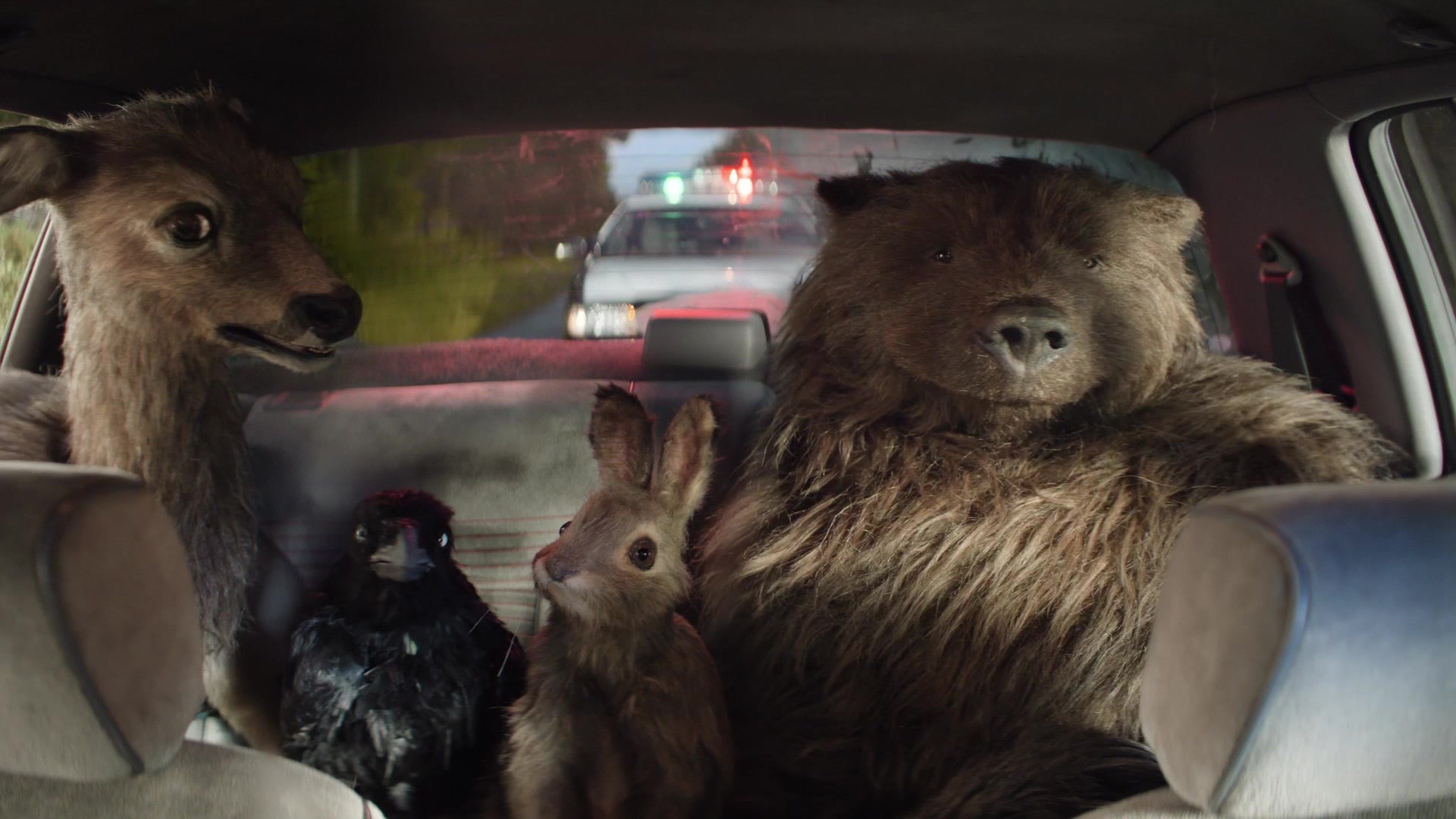 Beaver — Bear, deer, rabbit and bird filling the rear car seat with police lights behind